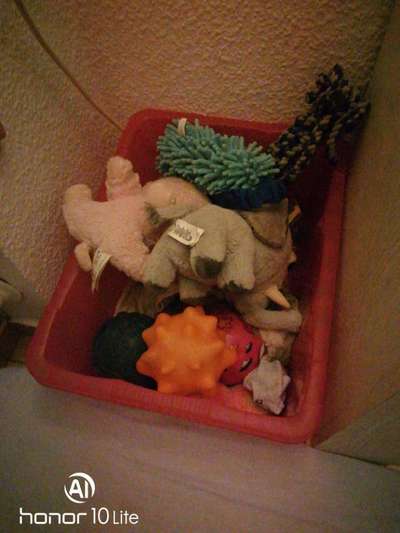 Ich hätte da mal eine Frage.....-Beitrag-Bild