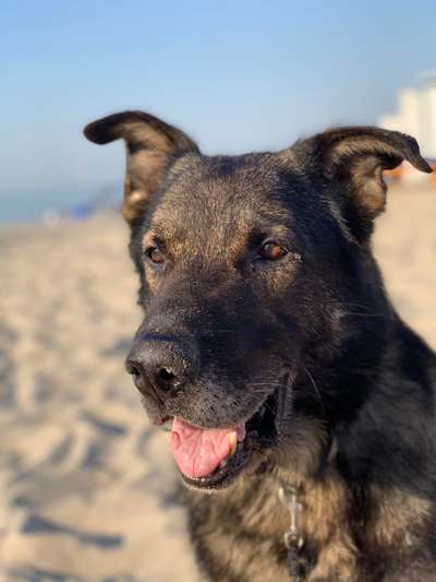 Fotochallenge 27-Beitrag-Bild