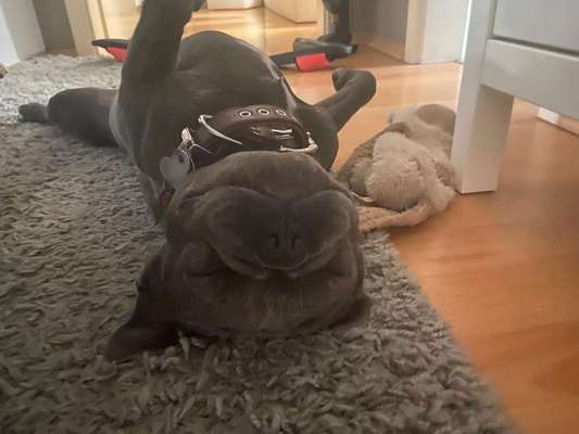 Die unbequemsten und lustigsten Schlafpositionen-Beitrag-Bild