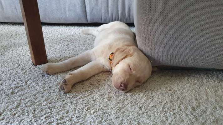 Fotochallange Nummer 5-Beitrag-Bild