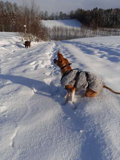 Challenge Nr. 15
Spiel im Schnee-Beitrag-Bild