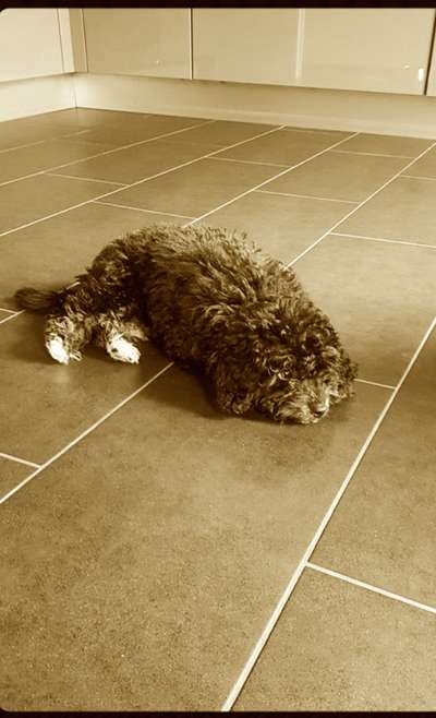 FarbenFoto - Challenge: Sepia-Beitrag-Bild