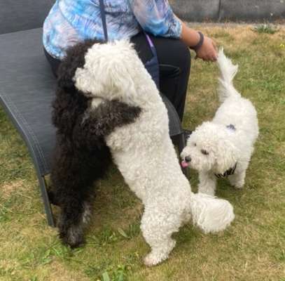 14. Farbenfoto-Challenge "Weiss"-Beitrag-Bild