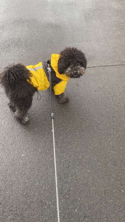 9.Farben-Fotochallenge            Gelb-Beitrag-Bild