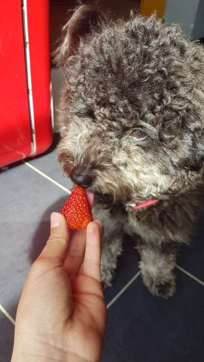 11. Farben Foto Challenge Rot-Beitrag-Bild