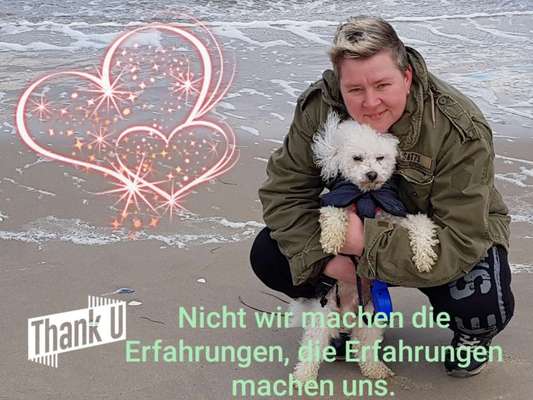 Unsere Fellnasen im Regenbogenland-Beitrag-Bild