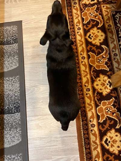 Der Gewichts-Thread-Beitrag-Bild