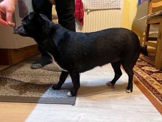 Der Gewichts-Thread-Beitrag-Bild