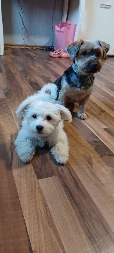 Fotochallenge 69-Beitrag-Bild