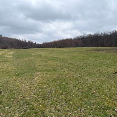 Hundeauslaufgebiet-Abenteuerspielplatz-Bild