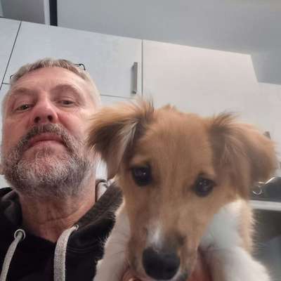 Hundetreffen-Gassi in schauenburg