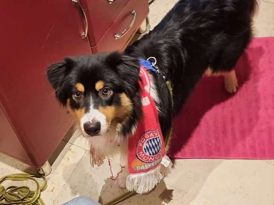 11. Farben Foto Challenge Rot-Beitrag-Bild