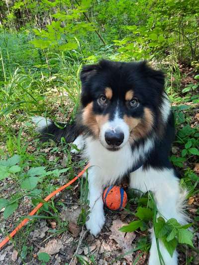 138. Fotochallenge 

(M)Ein Ball und ich-Beitrag-Bild