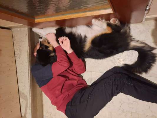 Foto Challenge Nr. 134-Beitrag-Bild