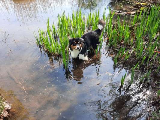 Eure schönsten Fotos mit Wasser-Beitrag-Bild