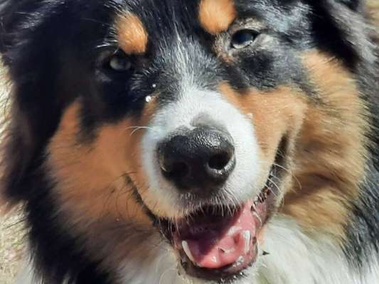 42. Handy Fotochallenge - Den richtigen Riecher haben-Beitrag-Bild