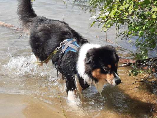 Eure schönsten Fotos mit Wasser-Beitrag-Bild