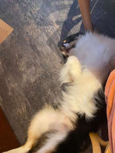 Foto Challenge - Zeigt her eure Bäuche-Beitrag-Bild