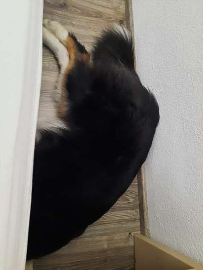 143. Fotochallenge: Ja, wo isser denn?-Beitrag-Bild