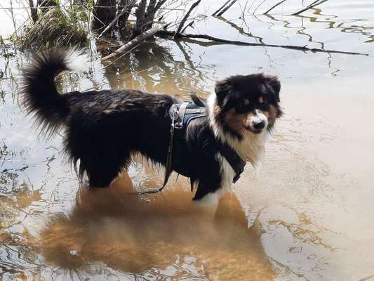 Eure schönsten Fotos mit Wasser-Beitrag-Bild