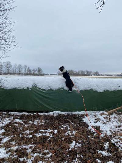 57. Handy Foto Challenge - klettern-Beitrag-Bild