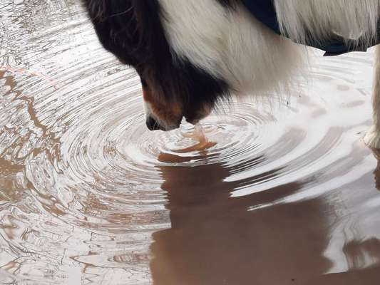 Eure schönsten Fotos mit Wasser-Beitrag-Bild