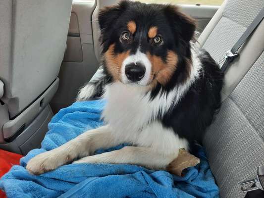 141. FOTO CHALLENGE 
Reisende soll man nicht aufhalten-Beitrag-Bild