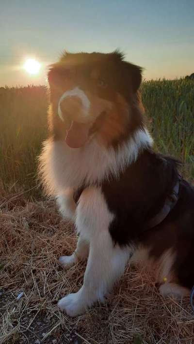 18. Farben Fotochallenge: Sonnenuntergang-Beitrag-Bild