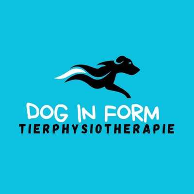 Medizinische Dienstleistungen-Tierphysiotherapie Dog in Form-Bild