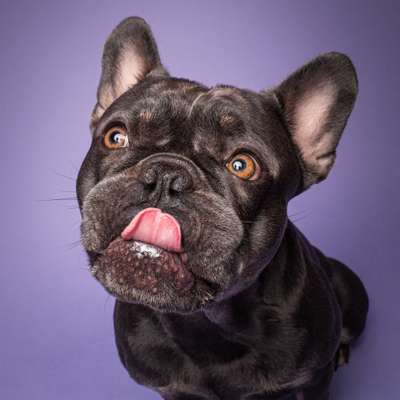 Austausch zur Fotografie-Beitrag-Bild