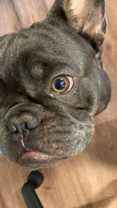 Hat das schonmal jemand gesehen?-Beitrag-Bild