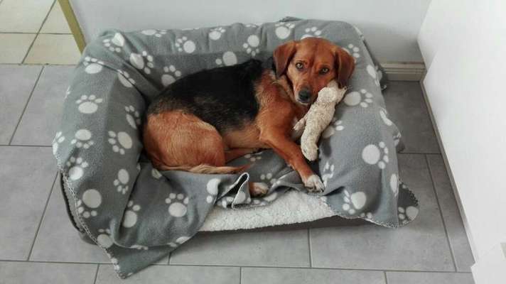 Ins Bett ja oder nein-Beitrag-Bild