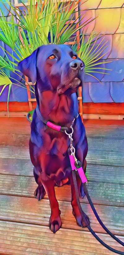 Eure schönsen-Beitrag-Bild