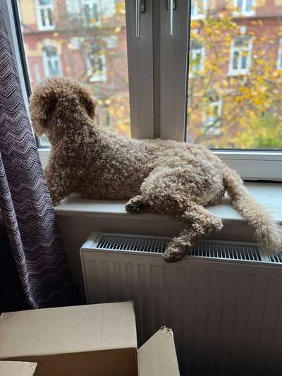 120. Fotochallenge-Beitrag-Bild