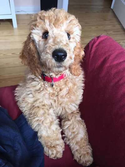 Fotochallange Nummer 5-Beitrag-Bild