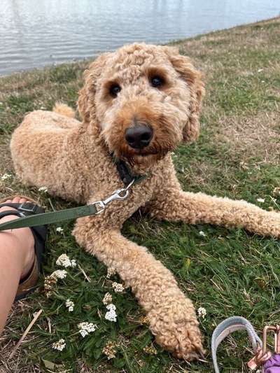 Ist das ein...?-Beitrag-Bild