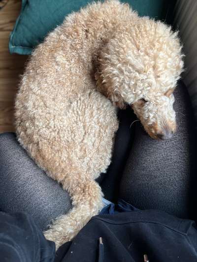 Fotochallange - Eingekugelt-Beitrag-Bild