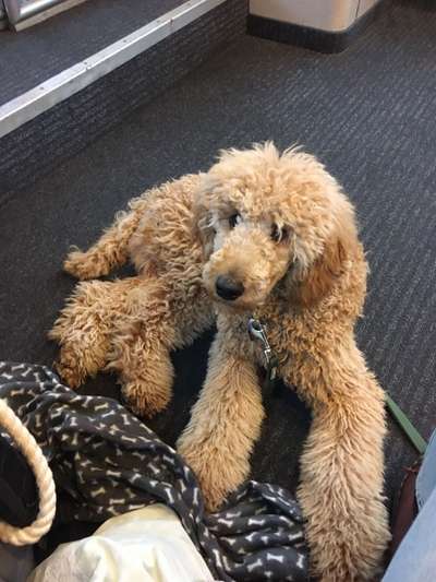 Fotochallenge 101:
On Tour-Beitrag-Bild