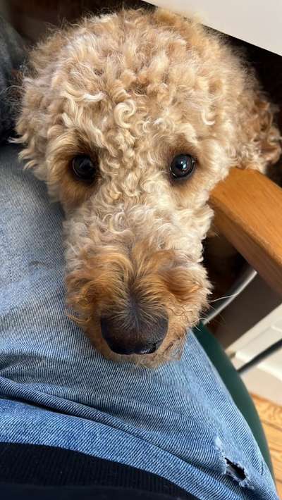 Handy-Foto Challange Nr. 10-Beitrag-Bild