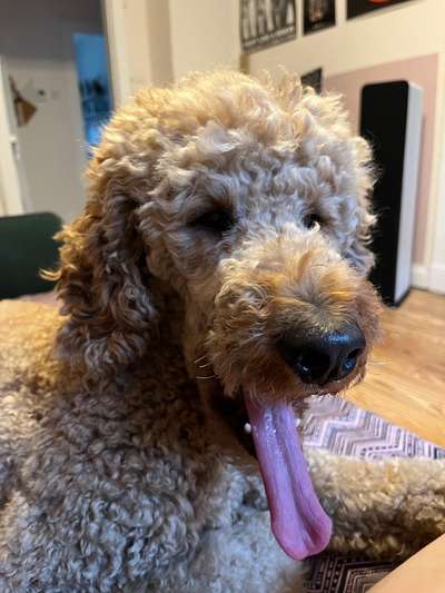 Handyfoto challenge Nr. 13: Waschlappen raus!-Beitrag-Bild