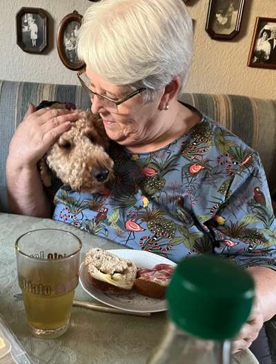 31. Handy - Fotochallenge
Vierbeiner mit am Tisch-Beitrag-Bild