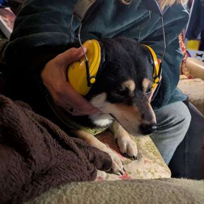 Wie habt ihr den Silvesterabend verbracht?-Beitrag-Bild