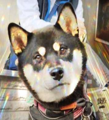 Fotochallange Nr. 57     PORTRÄT.   Beendet!!!!!!!!-Beitrag-Bild