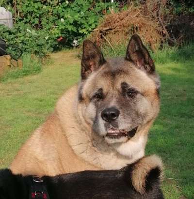 Fotochallange Nr. 57     PORTRÄT.   Beendet!!!!!!!!-Beitrag-Bild