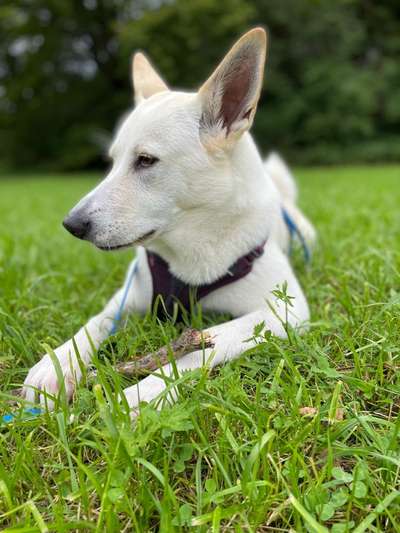 Fotochallange Nr. 57     PORTRÄT.   Beendet!!!!!!!!-Beitrag-Bild