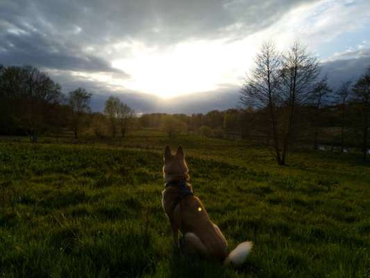 Moviestar-Pics!-Beitrag-Bild