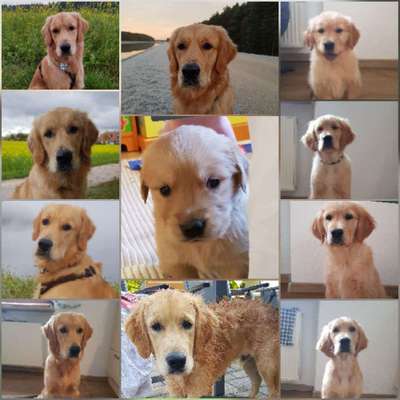 Vorher.... Nachher-Beitrag-Bild