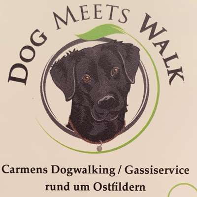 Hundeschule Bild