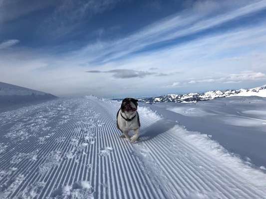 Fotochallenge Nr.100 Urlaubsimpressionen-Beitrag-Bild