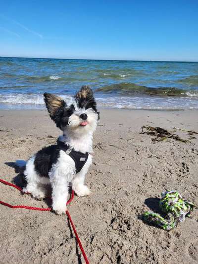 Fotochallenge Nr.100 Urlaubsimpressionen-Beitrag-Bild